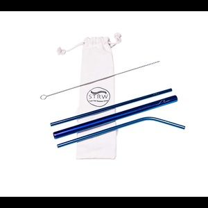 Blue Reusable Straw Kit